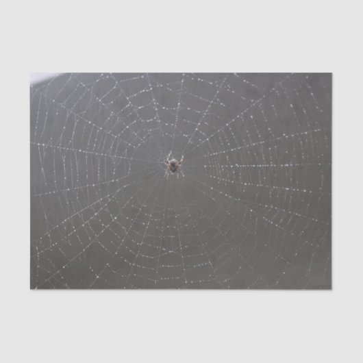 Spider Web Tissue Paper Tissuepapier (Voorkant)