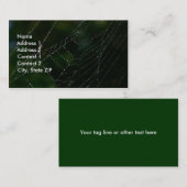 Spider Web Visitekaartje (Voorkant / Achterkant)