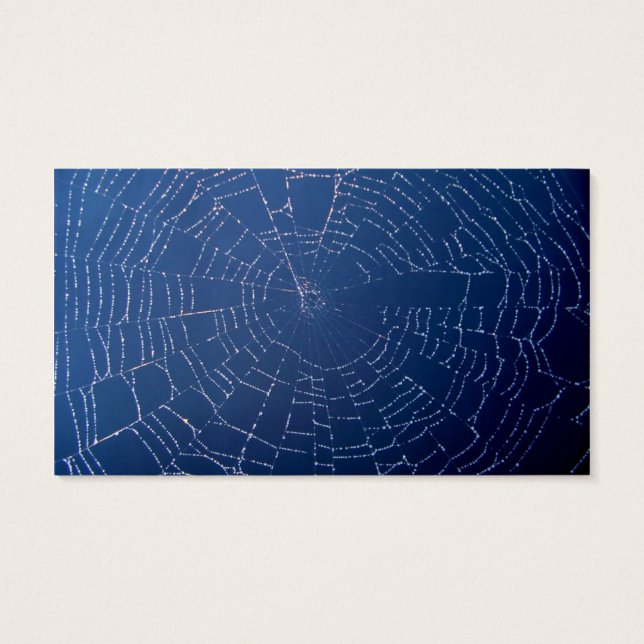 Spider Web Visitekaartjes (Achterkant)