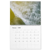 Spider Webs Kalender (Feb 2026)