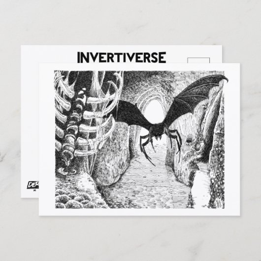 Spiderbat - Carte postale (Devant / Derrière)