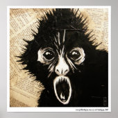 SpiderMonkey Poster (Voorkant)