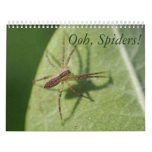 Spiders. Agenda Kalender (Hoes)