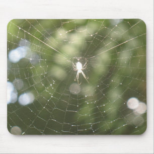 Spider's webmousepad muismat
