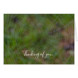 Spiderweb Avec Droplets Penser À Votre Carte