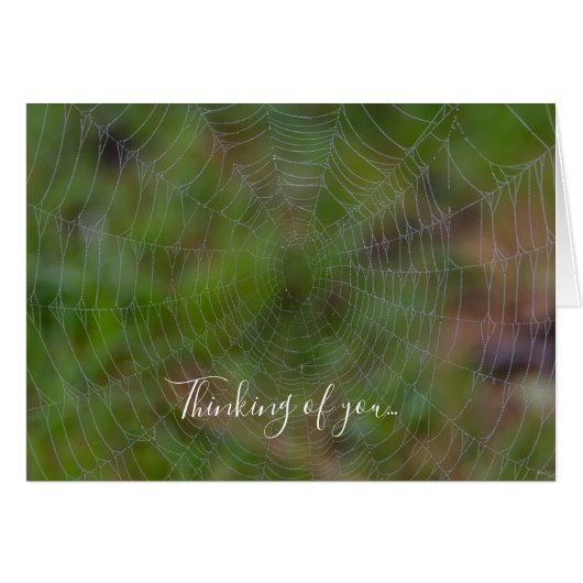 Spiderweb Avec Droplets Penser À Votre Carte (Devant Horizontal)