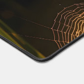 Spiderweb couvert de mâchoires au lever du soleil (Coin)