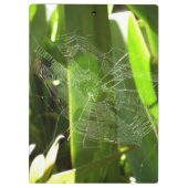 Spiderweb in de Natuur Tropische bladeren Klembord (Achterkant)