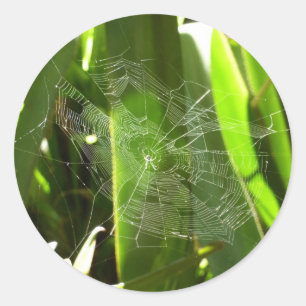 Spiderweb in de Natuur Tropische bladeren Ronde Sticker