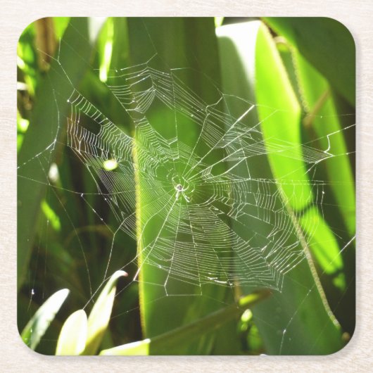 Spiderweb in de Natuur Tropische bladeren Vierkante Kartonnen Onderzetter (Voorkant)