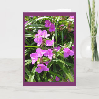 Spiderwort bloeit II Lege Kaart van de Nota