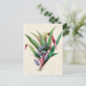 Spiderwort  Botanisch Briefkaart (Staand voorkant)