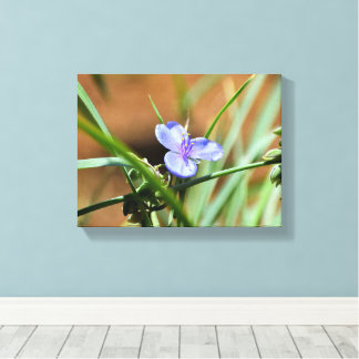 Spiderwort flower canvas afdruk