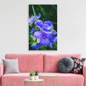 Spiderwort Plant Closeup in Full Bloom Canvas Afdruk (Insitu (Woonkamer))