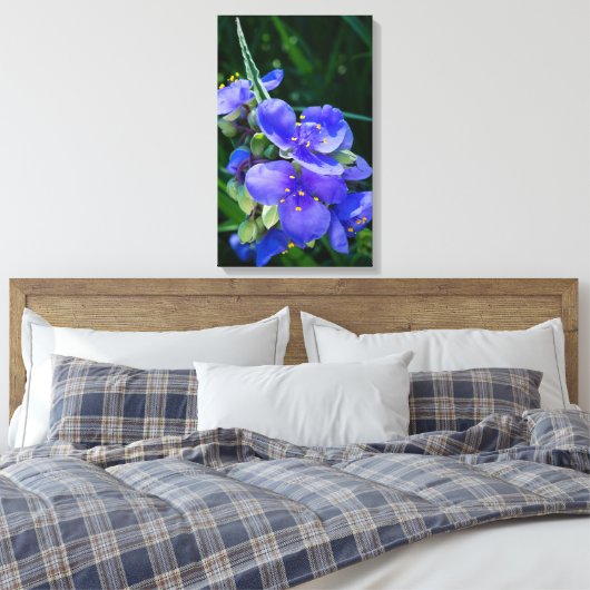 Spiderwort Plant Closeup in Full Bloom Canvas Afdruk (Insitu (Slaapkamer))