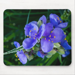 Spiderwort Plant Closeup in Full Bloom Muismat