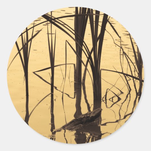 spiegel is een leugenaar ronde sticker (Voorkant)