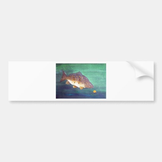 Spiegelkarper Bumpersticker (Voorkant)