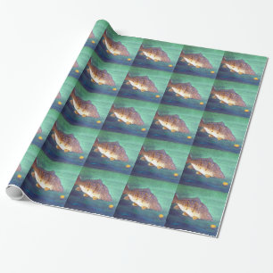 Spiegelkarper Cadeaupapier