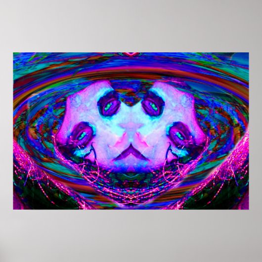 Spiegelreflectie Poster (Voorkant)