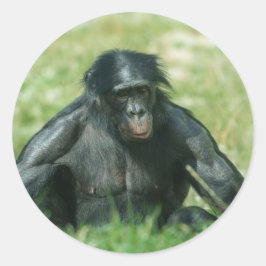Spierbonobo in het gras ronde sticker