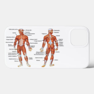 Spierdiagram medgiften101 iPhone 13 hoesje
