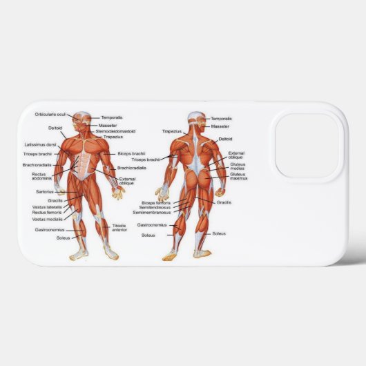 Spierdiagram medgiften101 Case-Mate iPhone case (Achterkant (horizontaal))