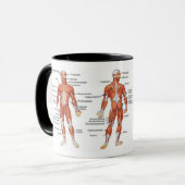 Spierdiagram medgiften101 mok (Voorkant links)