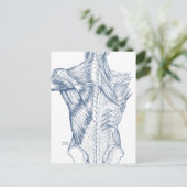 spieren blauw (1890) briefkaart (Staand voorkant)