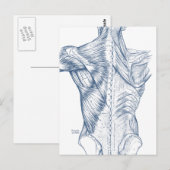 spieren blauw (1890) briefkaart (Voorkant / Achterkant)