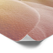 Spieren van schouder 4 poster (Hoek)