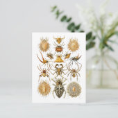 Spiers Briefkaart (Staand voorkant)