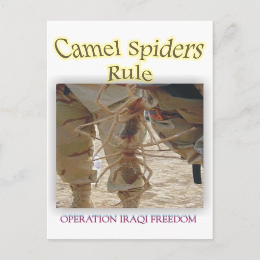 Spiers Briefkaart (Voorkant)