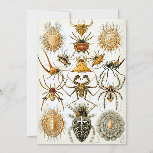 Spiers Kaart (Voorkant)