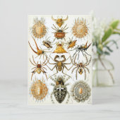 Spiers Kaart (Staand voorkant)