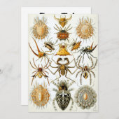 Spiers Kaart (Voorkant / Achterkant)