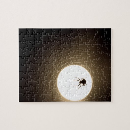 Spiers Legpuzzel (Horizontaal)