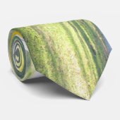 Spierschaarser Stropdas (Opgerold)