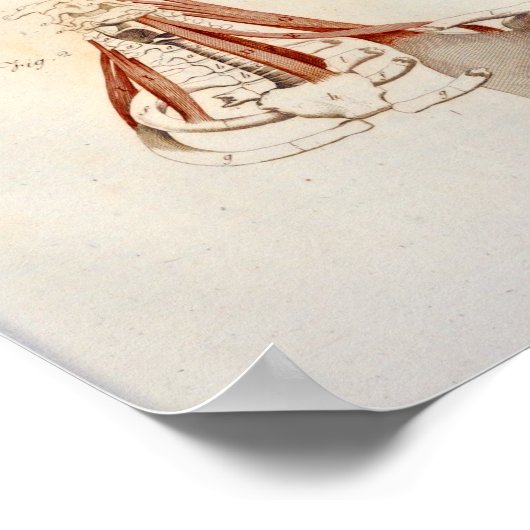 Spierspijn Anatomie Afdrukken nek Cervicale Spine Poster (Hoek)