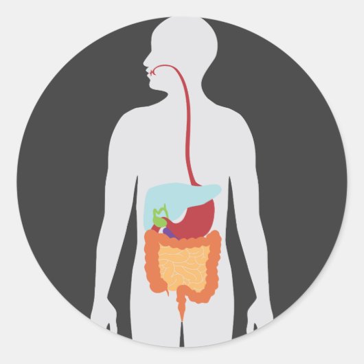 spijsverteringsstelsel ronde sticker (Voorkant)