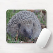 Spike Mousemat Muismat (Met muis)