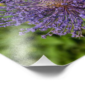 Spike Paarse ventilator Foto Afdruk (Hoek)