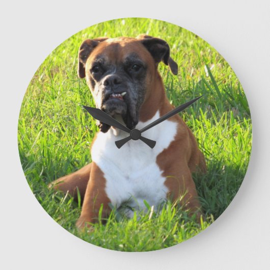 Spike the Boxer - Chien - Horloge murale (Recto)