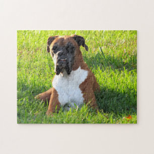 Spike the Boxer Dog - Puzzle Legpuzzel