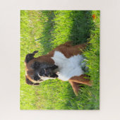 Spike the Boxer - Puzzle Legpuzzel (Verticaal)
