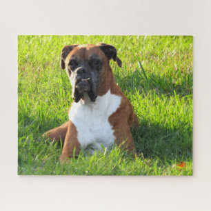 Spike the Boxer - Puzzle Legpuzzel