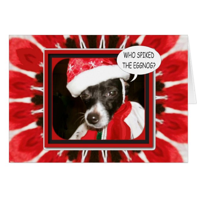 Spiked Eggnog Dog (Voorkant Horizontaal)