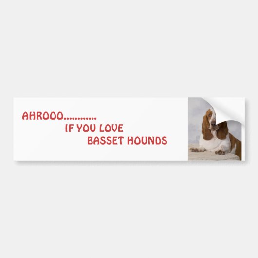 Spiker, AHROOO............                     ... Bumpersticker (Voorkant)