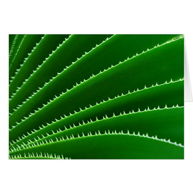 Spiky Green Leaf Pattern (Voorkant Horizontaal)