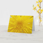 Spiky Yellow Dahlia Fermer Modèle photo (Fleur jaune)